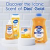 Dial Body Wash, Advanced Clean Gold, 16 Fl Oz, Pack