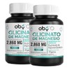 Oby Mineral Supplement Glicinato Magnesio 2920mg Porcin