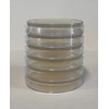Prepoured Agar Plate Petri Dishes Growing Kit Science Projects Supplies