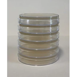 Prepoured Agar Plate Petri Dishes Growing Kit Science Projects Supplies Culture Dishes for School Science Seedling 9CM (6)