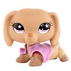 Miniature Cat and Dog Puppy Kitten Fox Figures Pet compitable