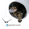 PAWZ Road Ohana schön Faltbar Katzentunnel Katzenspielzeug mit Ball Rascheltunnel