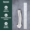 Mountain Valley Antlers Wild-Foraged, Naturally Shed Antlers for Dogs –