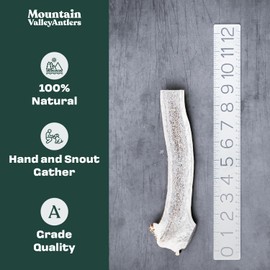 Mountain Valley Antlers Wild-Foraged, Naturally Shed Antlers for Dogs – 100% Natural & Organic, Mess-Free Chew for Average to Aggressive Chewers, Rich in Minerals Elk Antler, Split Large(1 Pack)
