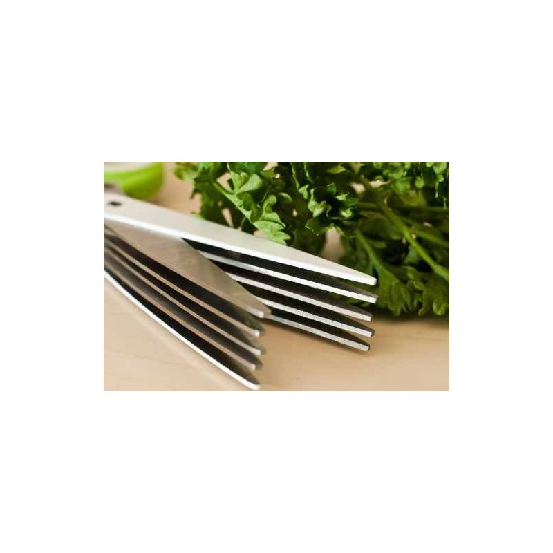 Edelstahl 5 Klinge Kräuterschere mit Reinigungskamm 19cm / 7.48in grün