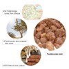 Frankincense Natural Resin Incense, Frankincense (Frankincense), 1.1 oz (30 g),