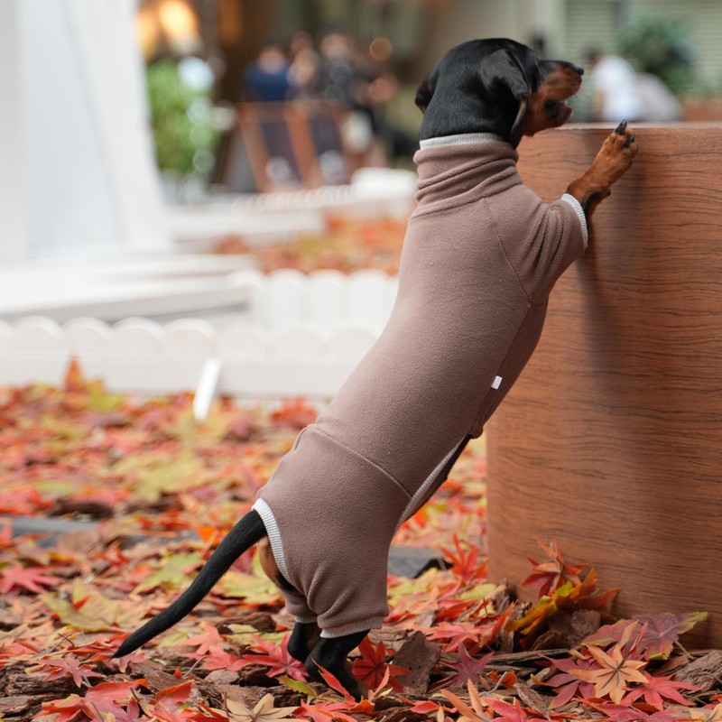 Dachshund Dog Turtleneck Sweater, Winter Warm Clothes for Dachshunds, Sausage