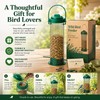 Outdoor Hanging Bird Feeder with Multiple Feeding Holes – Large