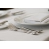 Fortessa Pantheon 18/10 Stainless Steel Flatware Table Fork, Set of