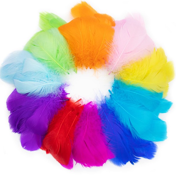Wendergo Coloured Feathers for Crafting, 300 Pcs Craft Feathers for Kids, Natural Goose Colourful Feathers Mixed Coloured for DIY Decoration Hat Vase Dream Catcher Mask Collage Cat Stick (Colorful)
