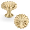 FAPUAL 6 Pack Gold Cabinet Knobs for Kitchen Cabinets and