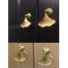 TARATI 2pcs Ginkberry Leaf Style Door Knobs Drawer Pulls Antique