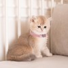 Breakaway Cat Collars with Bell, 4 Pcs Rhinestone Cat Collars,