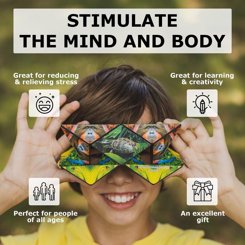 SHASHIBO Bundle of 3 - Jungle, Artic and Forest