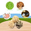 48PCS Small Animal Play Ball Toy Rabbit Chew Gnawing Toys