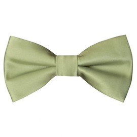 TIES R US Pre Tied Sage Green Boys Bow Tie Age 18 Months-3 Years