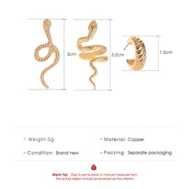 Yienate Dainty Silver Snake Earrings, Medusa Drop Earrings, Cobra Earrings, Statement Animal Stud Earrings for Women and Girls, Alloy Steel