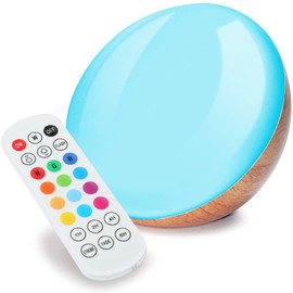 salipt LED Night Light, Smart Bedside Table Lamp, Touch Control, Dimmable, USB Rechargable, Portable, Color Changing RGB for Men Women Kids, Bedroom, Camping (Warm White)