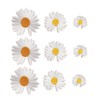 Aweisile Daisy Patch, Iron-On Patches, Pack of 25 Sew-On Flower