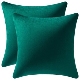 DEZENE Decorative Pillow Covers 22x22 Green: 2 Pack Cozy Soft Velvet Square Throw Pillow Cases for Farmhouse Home Decor