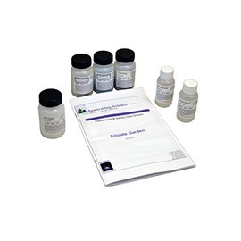 Innovating Science 'Silicate Garden' Chemistry Demo Kit
