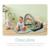 Gimnasio Para Bebés Con Piano Juguete Baby Gym Musical