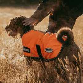 WeatherBeeta ComFiTec Reflective Parka 300D Dog Coat, Orange, 26"