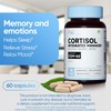 LeafStory 4-in-1 Cortisol Manager Supplement – KSM-66 Ashwagandha, Magnesium, L-Theanine