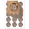 Realistic House Mouse Peeking Through Hole Rodent Temporary Tattoo Water
