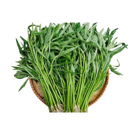Buroifamily 100+ Seeds Kangkong Seeds - Rau Muong, Ong Choy, Water Convolvulus- Chinese Convolvulus
