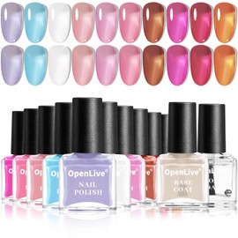 OpenLive Jelly Nail Polish Set, 10 Color With 2PCS Base and Top Coat Quick Drying High Gloss Shine Jelly Nail Polish Translucent Blue Purple Red Pink Color Holiday Gift Giving