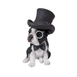 Boston Terrier with Top Hat - Spectacle and Bow Tie