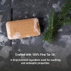 The Grandpa Soap Company Pine Tar Soap - 3.25 oz