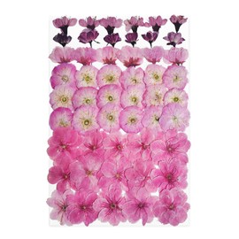 TrendCart 51 Pcs Cherry Blossoms Dried Pressed Flowers for Crafts,Real Nature Dry Flower Bulk for Resin Jewelry Making Candle Making Frame Decoration Art Floral Decors