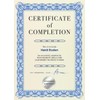 Computer Craft A4 Certificate Papers with Foil Seals, 90gsm, Blue