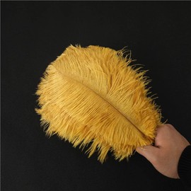 Pack of 10 25-30 cm Natural Ostrich Feathers, Ostrich Feather for Crafts, Craft Feathers for DIY Dream Catcher Accessories, Home Decoration, Costumes, Table Decoration, Wedding, Party, Festival, Hats,