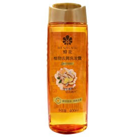B FENG HUA Anti Dandruff Shampoo Control Oil & Flake Itchy Scalp Relief