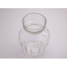 Frontier Glass Hyacinth Glass Pot for 1 Ball Frontier 1 Piece