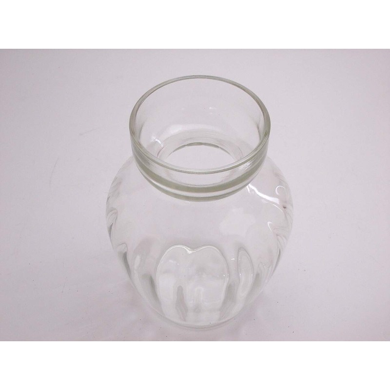 Frontier Glass Hyacinth Glass Pot for 1 Ball Frontier 1
