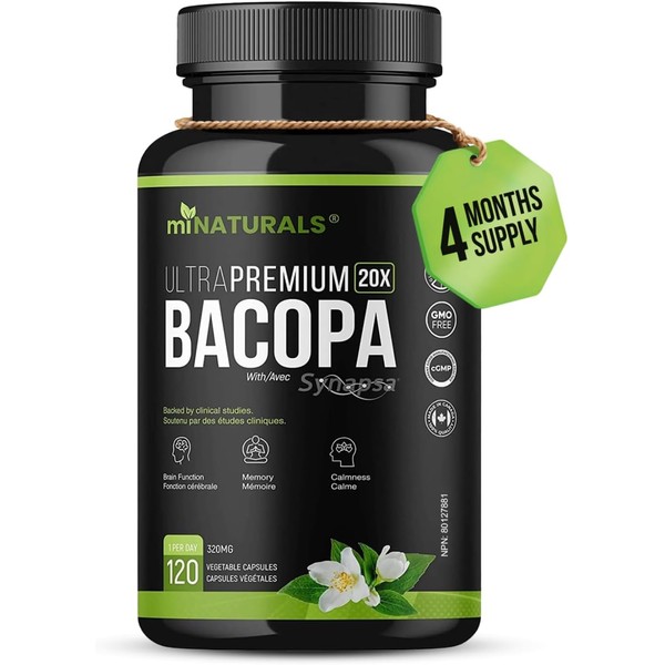 Brain Supplement, For Memory & Focus | Bacopa Monnieri Synapsa
