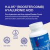 BOOST Longevity by Nature H.A.95 Hyaluronic Acid Supplement– 60 Capsules
