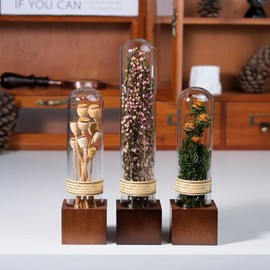 3Pcs Dried Flowers Decor, Natural Plant Decor with Wooden Base for Boho Home Tables,Book Shelf, Office Decor,Rustic Farmhouse Decor, Africa Home Decor,Unique Gifts for Plant Lovers,Friends,Family