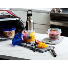 Elegant Disposables Twist Top Deli Containers Food Storage Containers Blue Screw on Lid Reusable Stackable Leakproof Airtight, pack of 10-16 oz containers