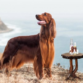The Blissful Dog ® Inc. Irish Setter Relax Dog Aromatherapy Soothes Anxious, Frightened, Terrified Dogs - BOTH