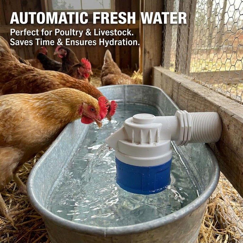 1PC 2" Top Inlet Automatic Water Level Control Float Valve,