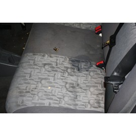 LANE'S Show Car Products Foamy Upholstery Cleaner - 1 Can