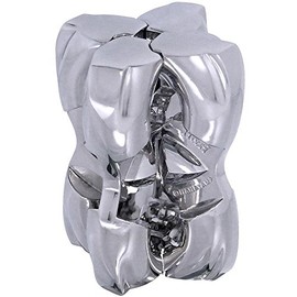 Hanayama H and H Metal Puzzle