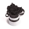ROSEMARIE SCHULZ Heidelberg Small Rose Box White Round Infinity Rose