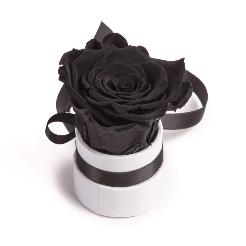 ROSEMARIE SCHULZ Heidelberg Small Rose Box White Round Infinity Rose