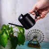 Unbranded Watering Cans, 10oz/300ml Stainless Steel Long Spout Small Watering
